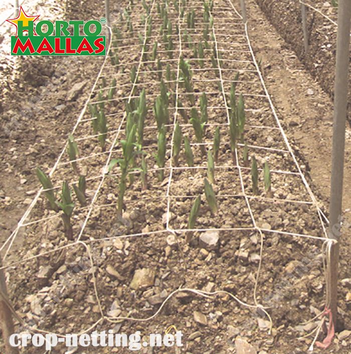 crop netting help to the good tutoring for your crops