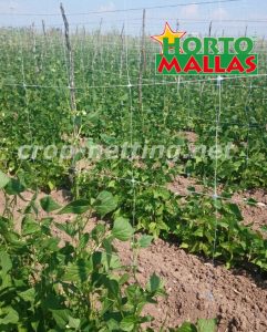 support net installed for support on garden crops