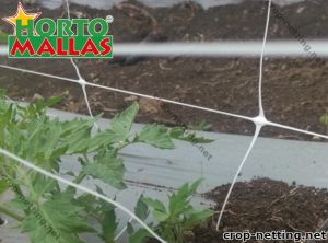 Hail netting and crop netting