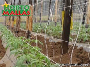 Crop Net